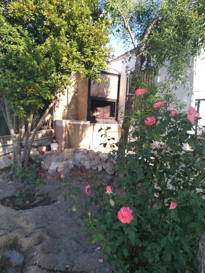 Casa Rural Consuelo 阿尔卡拉德尔胡卡尔 外观 照片